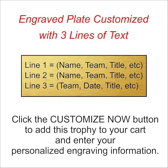 Etch Workz 6 Inch Football Trophy Shield | Gold Star Resin Football Award