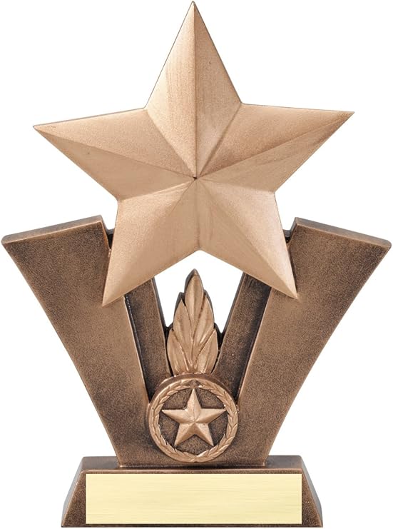 Etch Workz Custom Engraved Radiant Star Trophy | 6-Inches Resin Casting Award