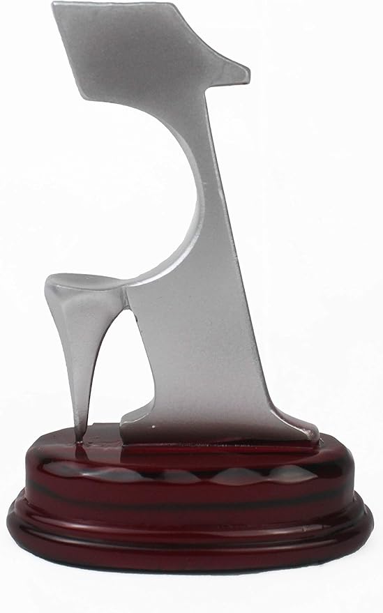 Etch Workz Golf Ball Hole in One Trophy | 5-1/2" Silver Tone Resin Award