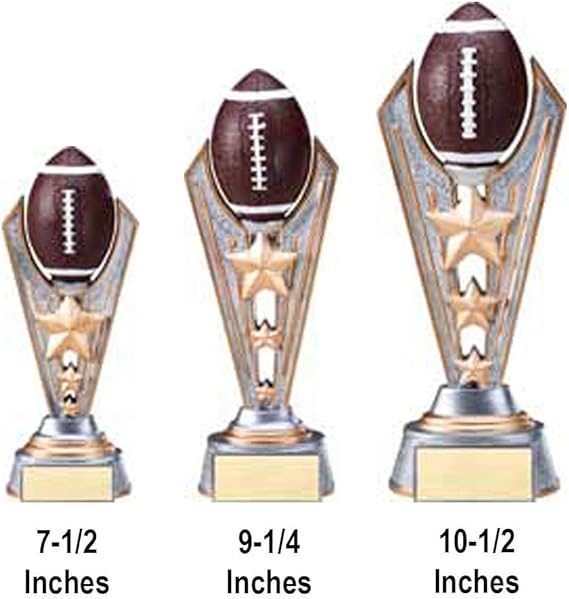 Etch Workz Fantasy Football Trophy | 7.5" Silver and Gold Finish Resin Award