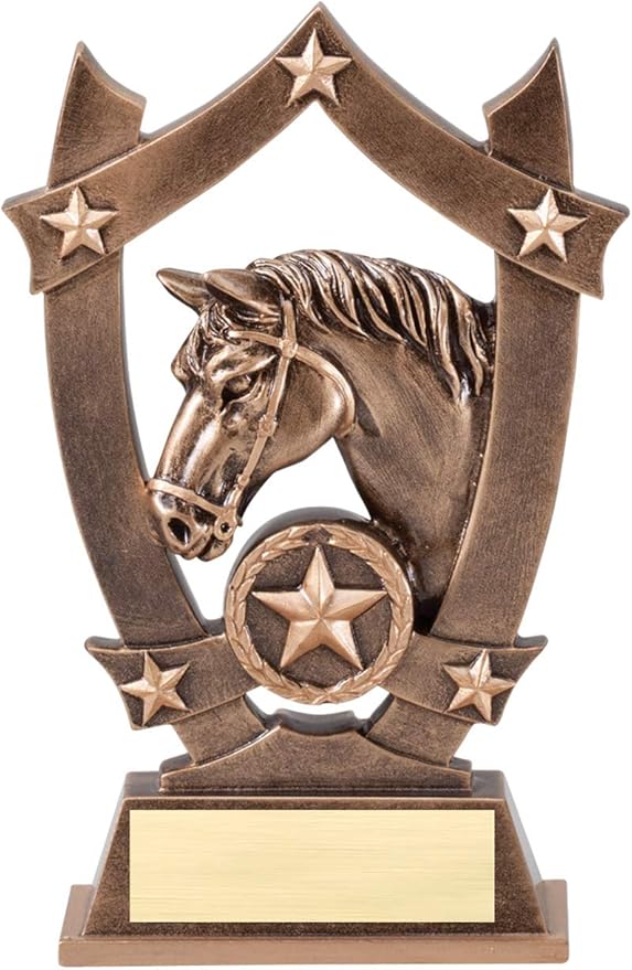 Etch Workz Customized 3-D Sport Stars Trophy | Horse Gold Star Shield Award